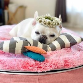 Лежак для собак Pet Lounge Small - Ballerina Pink (Limited Edition), Цвет лежака: Ballerina Pink, Размер лежака: S (60см)