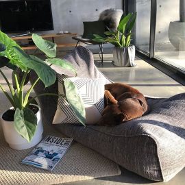 купить кресло мешок для дома