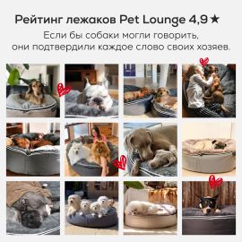 купить лежак для гигантской огромной  собаки Лежак для собак Pet Lounge размер до 150см XXL - Cappuccino (Premium)
