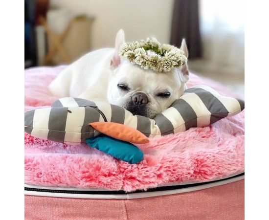 Лежак для собак Pet Lounge - Размер Small (60см) - Ballerina Pink (Limited Edition), Цвет лежака: Ballerina Pink, Размер лежака: S (60см)