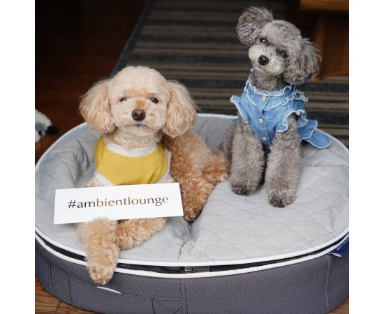 Лежак для собак Pet Lounge - Размер Small (60см) - ThermoQuilt (Premium), Цвет лежака: ThermoQuilt Grey, Размер лежака: S (60см), изображение 2