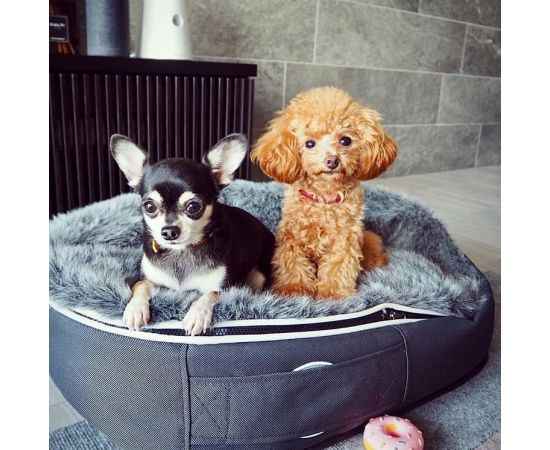 купить лежак для небольшой собаки