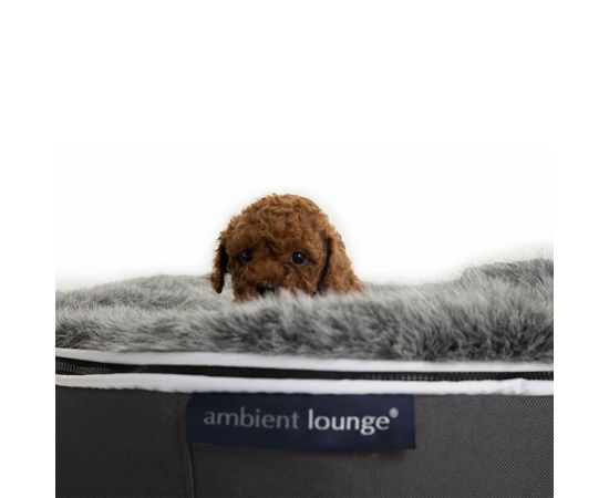 купить лежачок для собаки