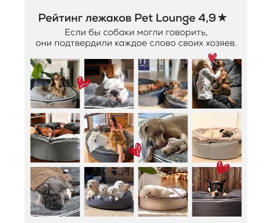 купить лежак для гигантской огромной  собаки Лежак для собак Pet Lounge размер до 150см XXL - Cappuccino (Premium)